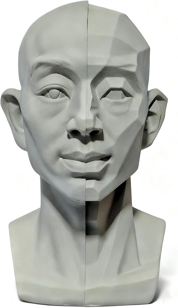 Generic Head Model for Artists, 2in1 Original & Planar Face, for Learning Planes and Light Details, Small Mannequin Manikin Head for Art Drawing Skecthing Study (Large(13.5cm))