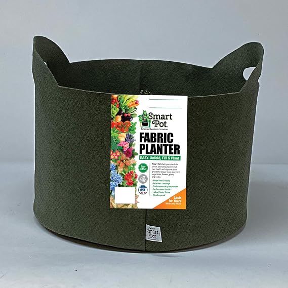 SMART POT 3 Gallon Soft-Sided Container, Forest Green with Cut Handles